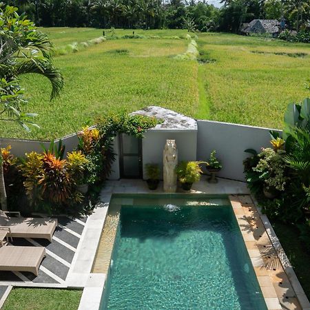 Ananditha Villa Ubud Ricefield Views ภายนอก รูปภาพ