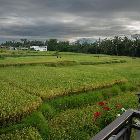 Ananditha Villa Ubud Ricefield Views ภายนอก รูปภาพ
