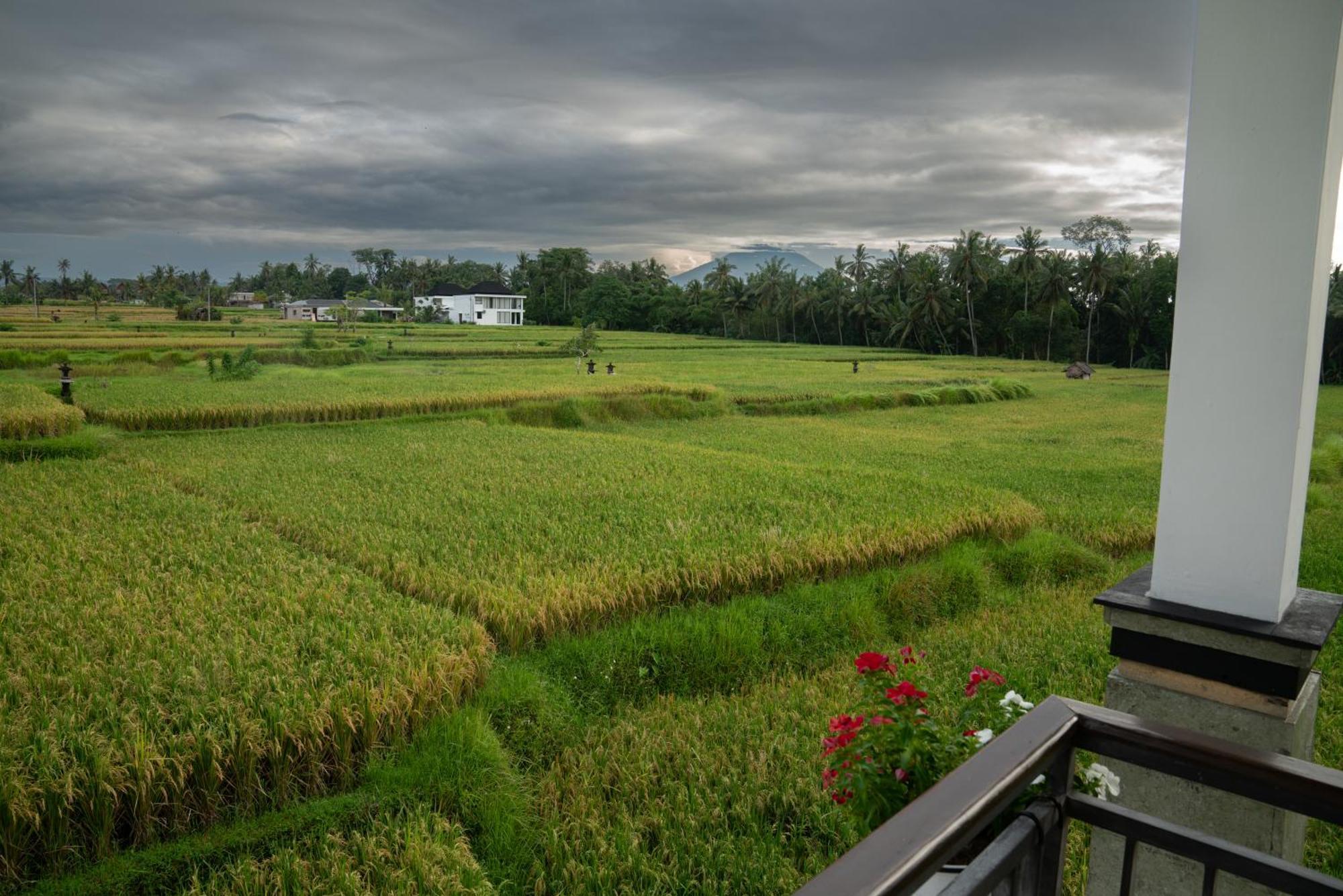 Ananditha Villa Ubud Ricefield Views ภายนอก รูปภาพ